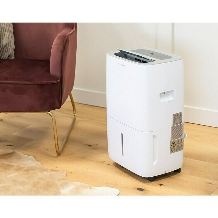 Dehumidifier with shoe dryer