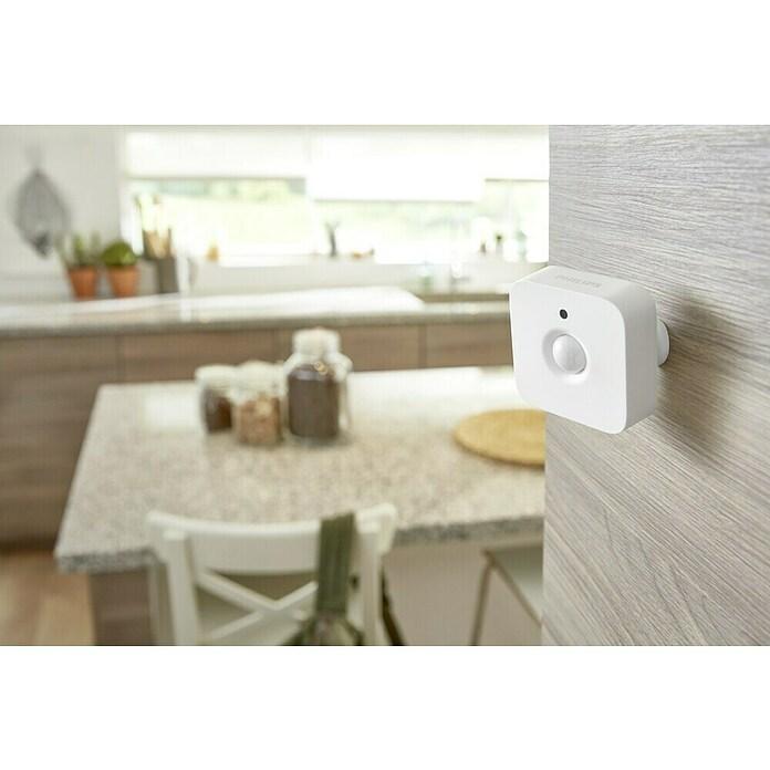 Motion detector