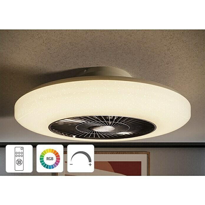 Ceiling fan with LED lighting