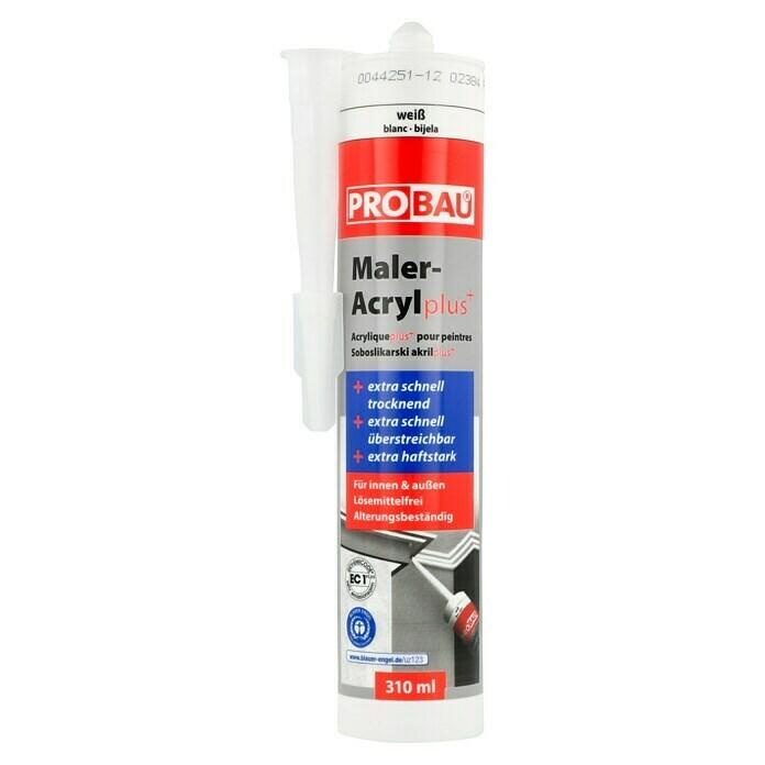 Painter's Acrylic Plus