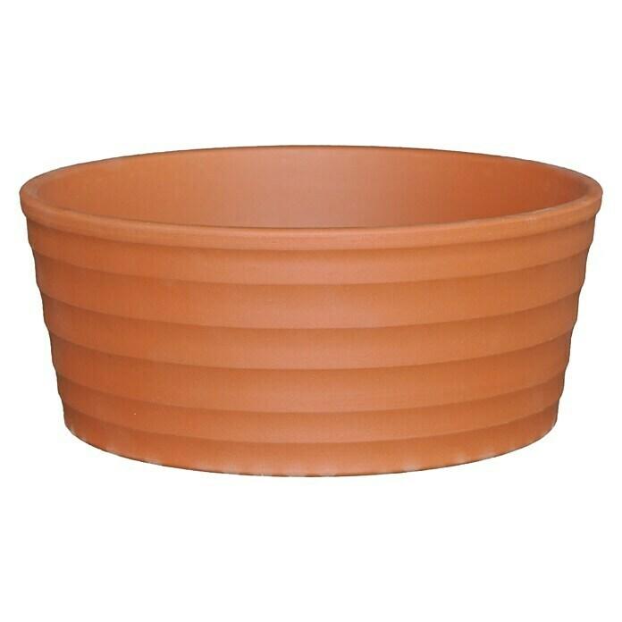 Plant bowl round Sirius