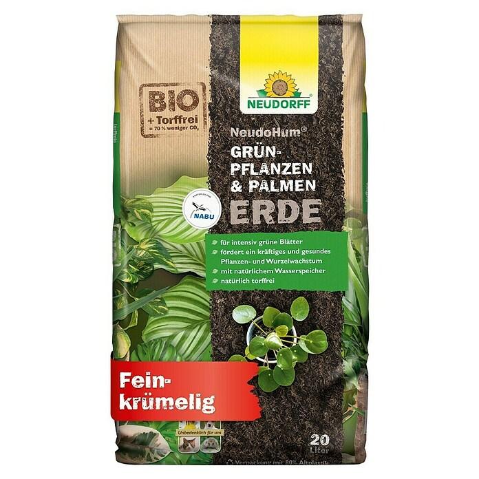 Green plant & palm soil