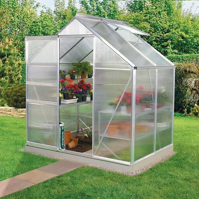 Greenhouse Venus 2500