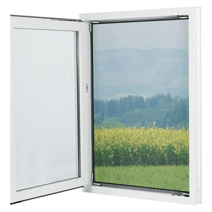 Insect protection net