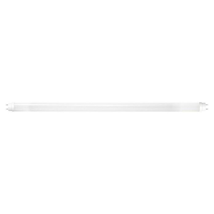 LED fluorescent tube