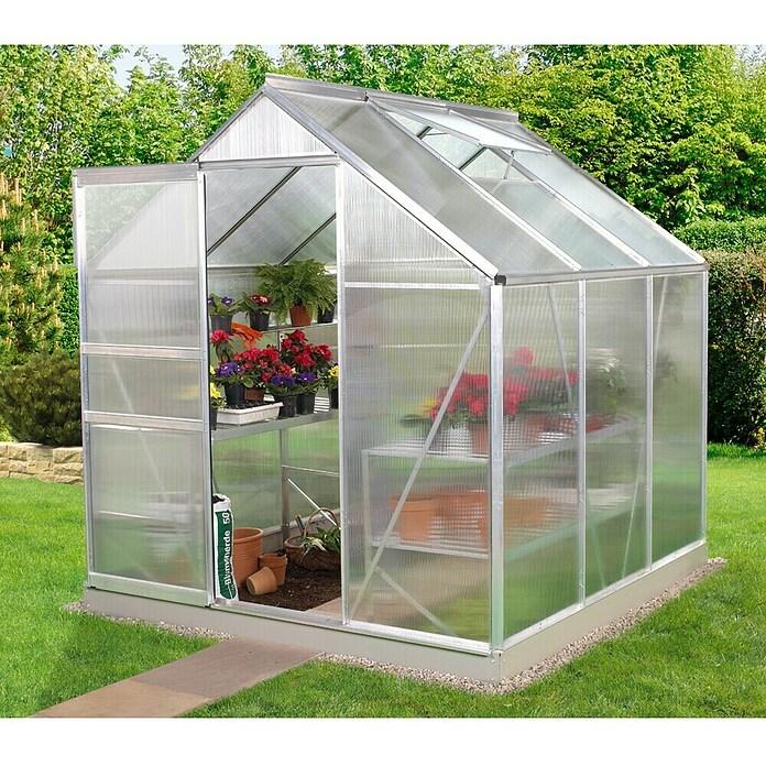 Greenhouse Venus 3800