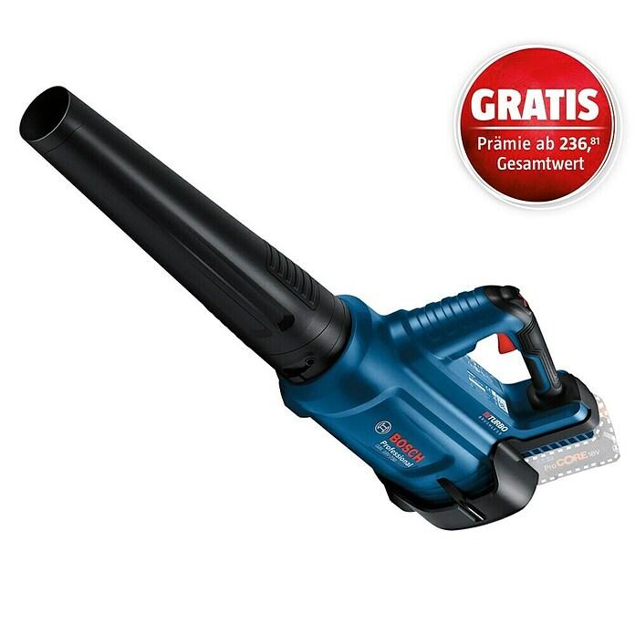Cordless blower GBL 18V-750