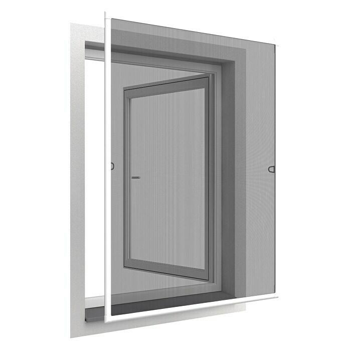 Basic insect protection window