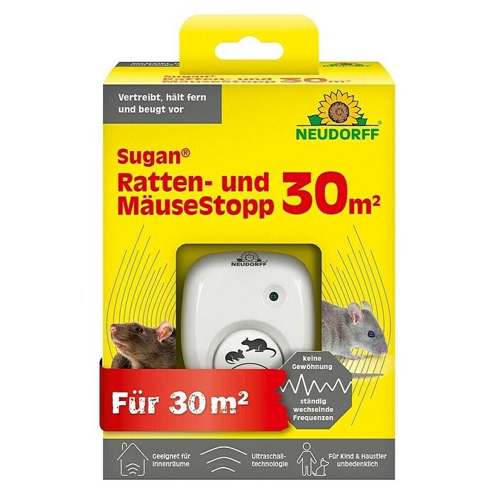 Rat & mouse control