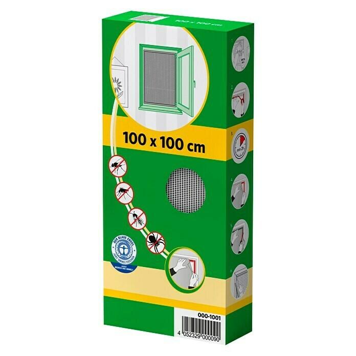 Insect protection window