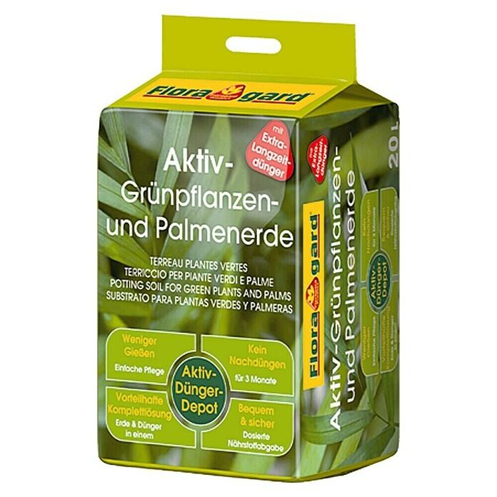 Active green plant and palm soil