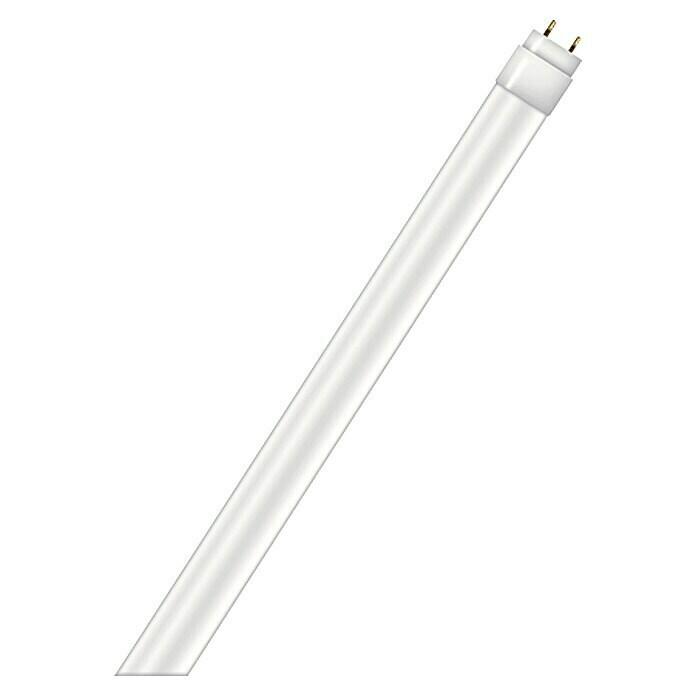 LED fluorescent tube SubstiTube Value ST8-HV4