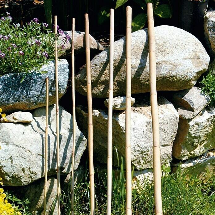 Bamboo stick