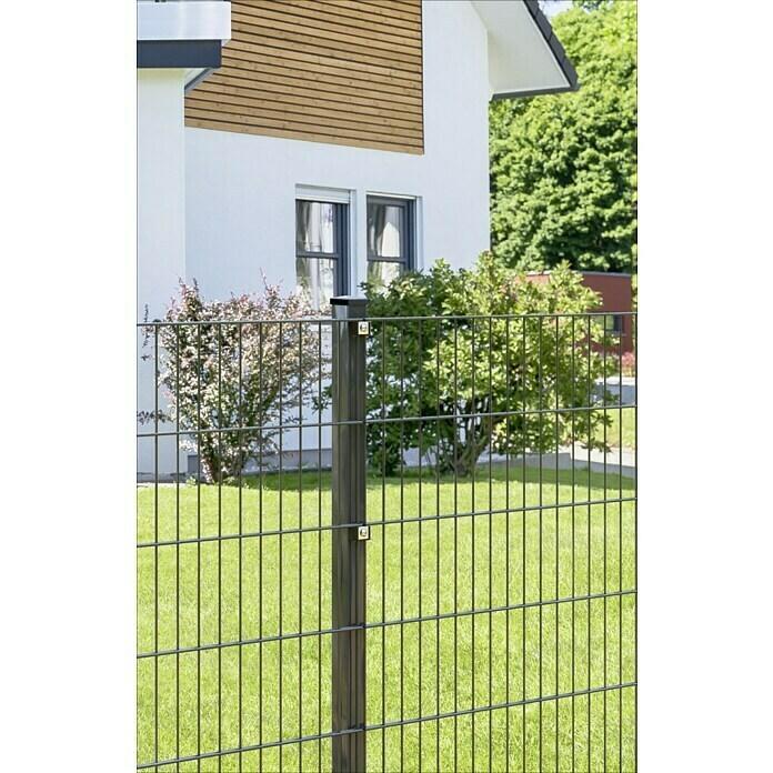 Mesh fence small