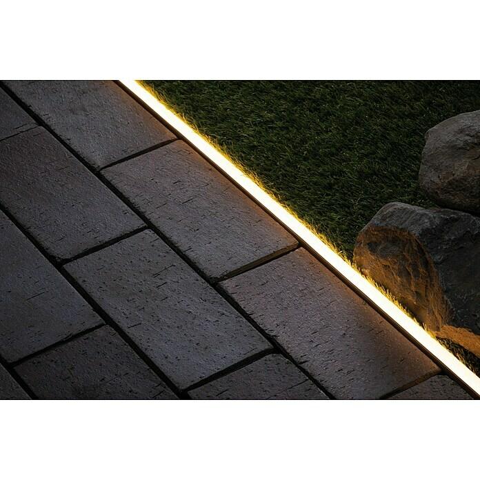 Neon Stripe mounting rail