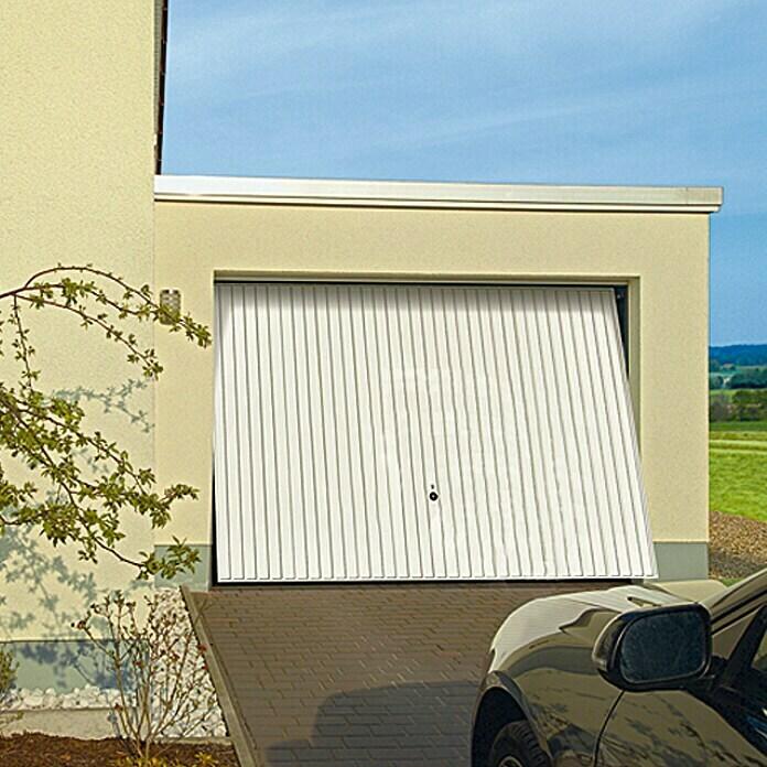 Garage door Berry N 80
